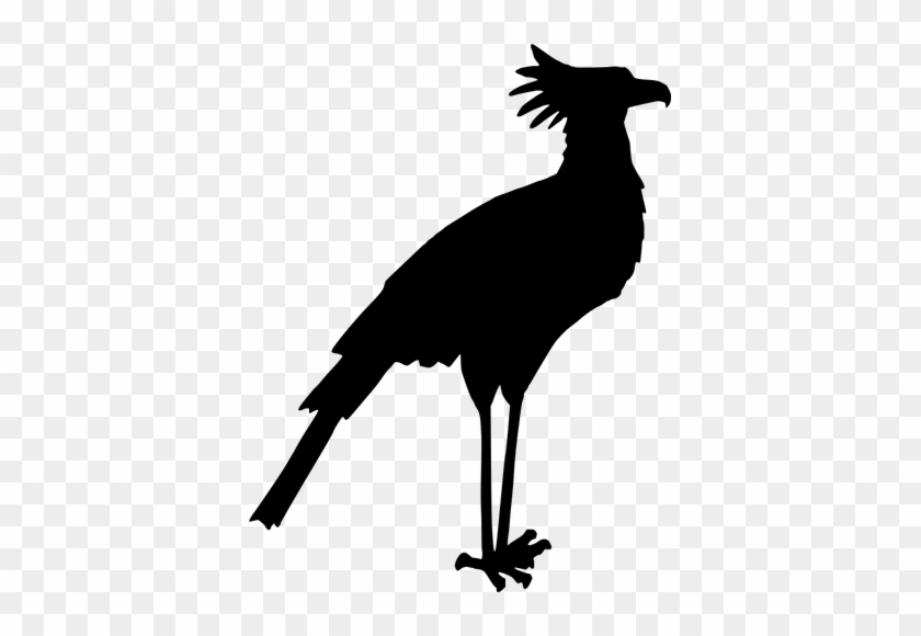 Secretary Bird Silhouette Vector Image - Secretary Bird Silhouette #704712