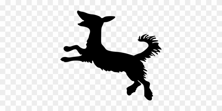 Animal Canine Dog Mammal Pet Silhouette Do - Arhur Rackham Dog Silhouettes #704719
