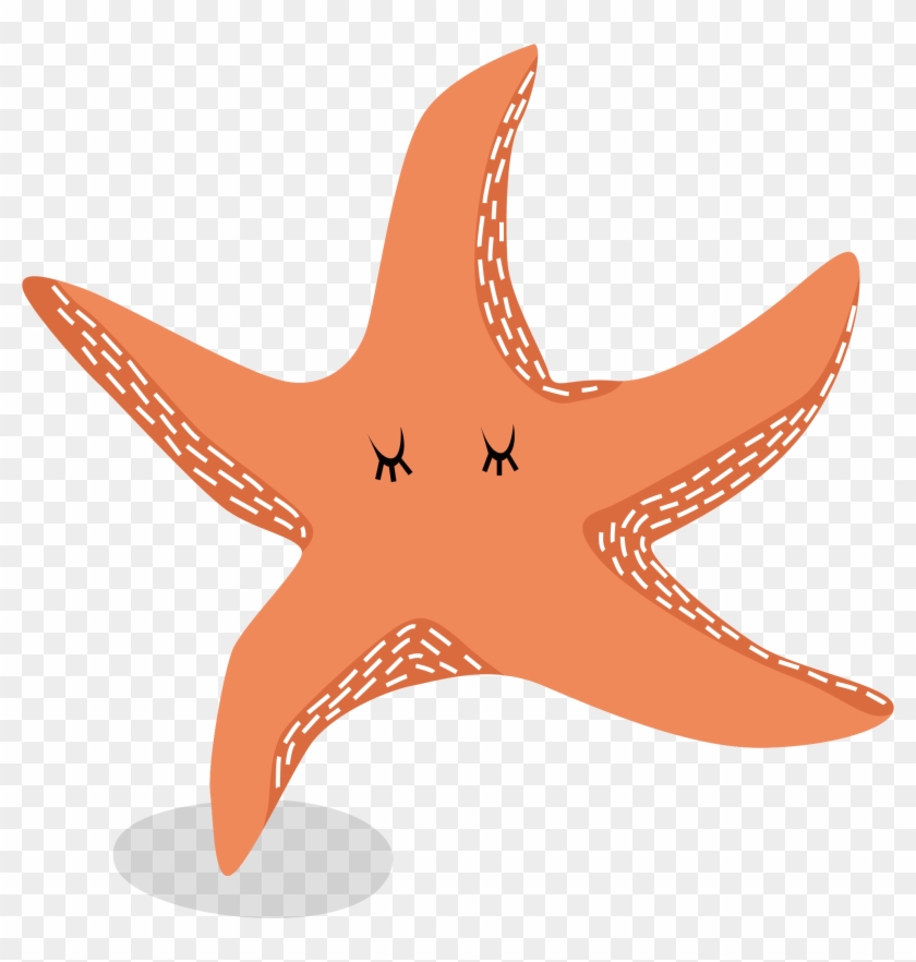 Starfish Euclidean Vector - Starfish Euclidean Vector #704825