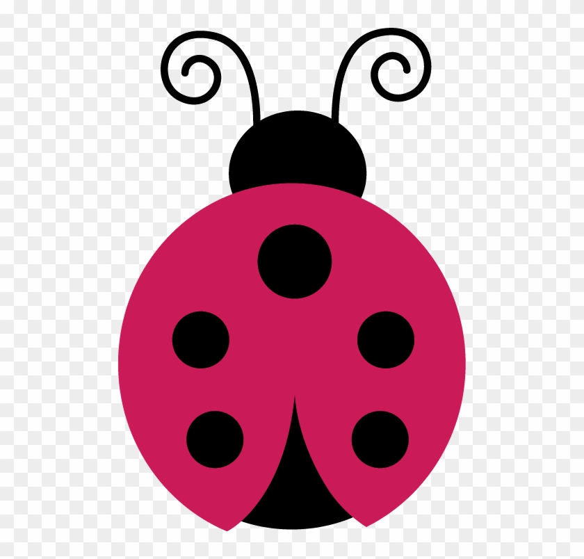 Joaninha - Minus - Ladybird Beetle #704832
