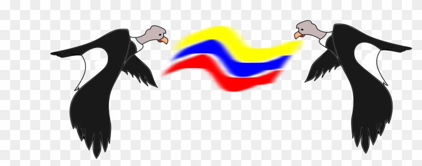 Big Image - Andean Condor #704879