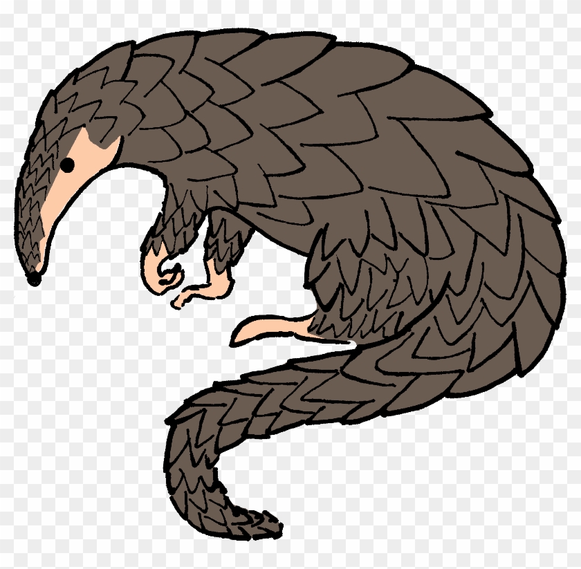 Wild Clip Art Download - Pangolin Clipart #704880