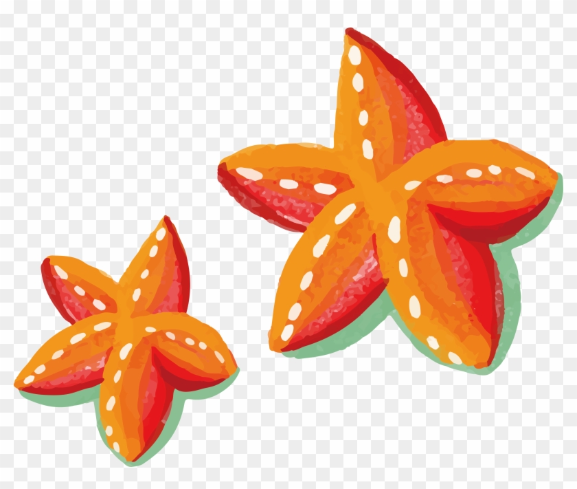 Watercolor Painting Starfish - Starfish #704893