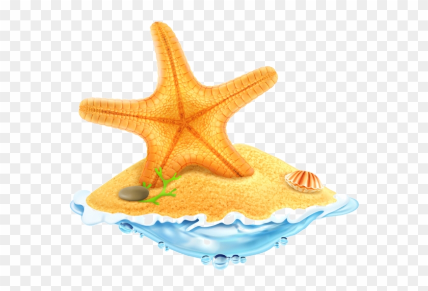 Beautiful Starfish Png #704938