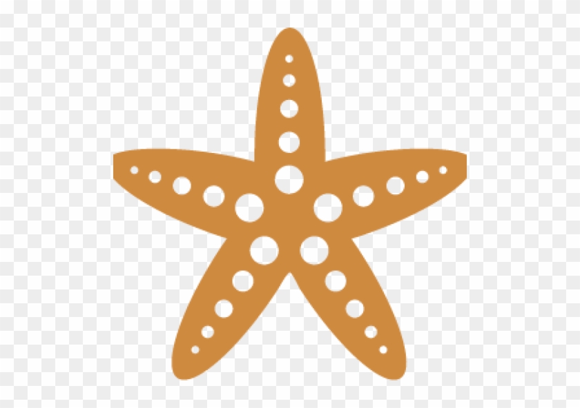 Cropped Starfish Star - Starfish #704963