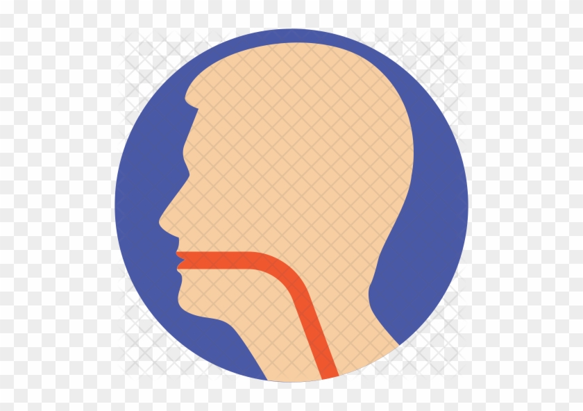 Esophagus Icon - Throat #705003