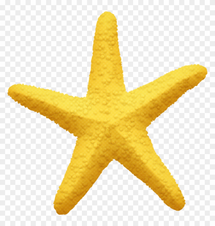 Starfish Pentagram Yellow Five Pointed Star - Starfish Pentagram Yellow Five Pointed Star #705072