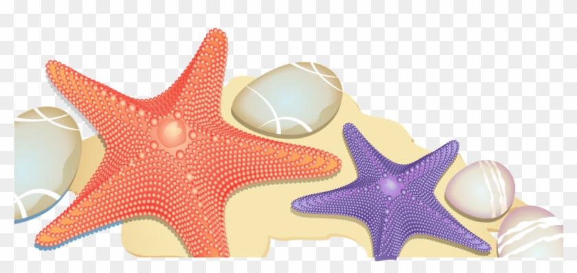 Starfish Euclidean Vector Sand Beach - Beach #705179