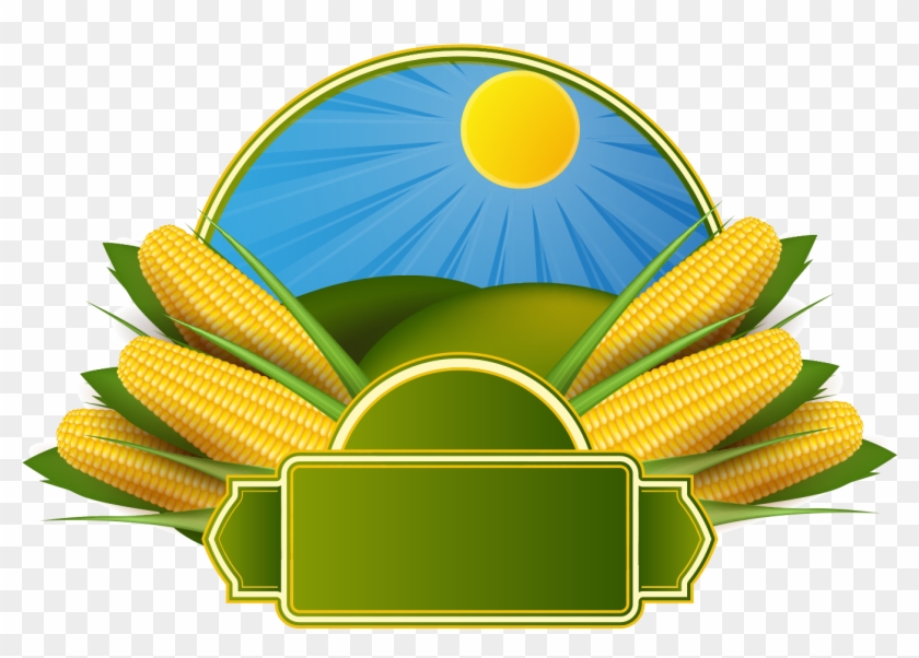 Corn On The Cob Maize Corncob Clip Art - Corn Clip Art #705316