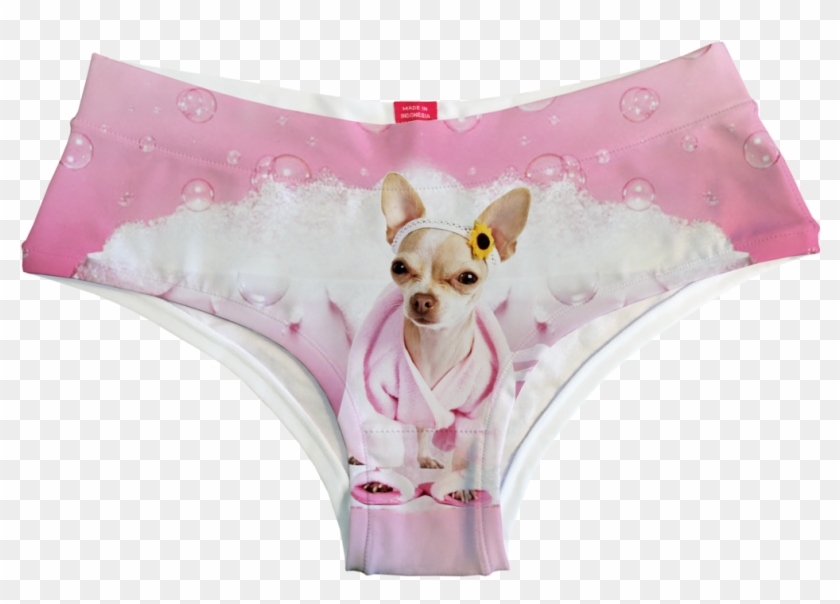 Sweet Bubble Bath Fearless - Chihuahua Clothes #705337
