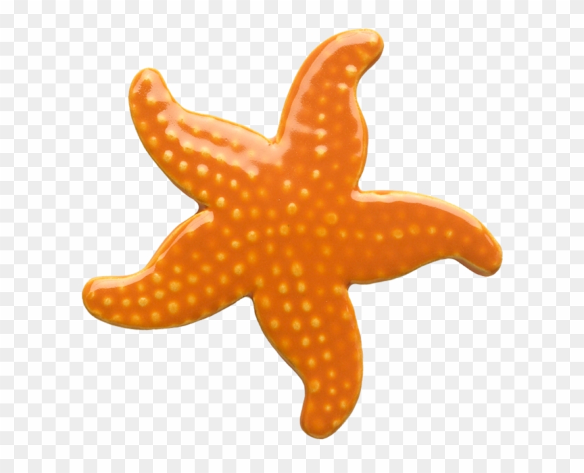 102or 5" Starfish-orange Ceramic Pool Mosaic - Star Fish Clip Art #705417