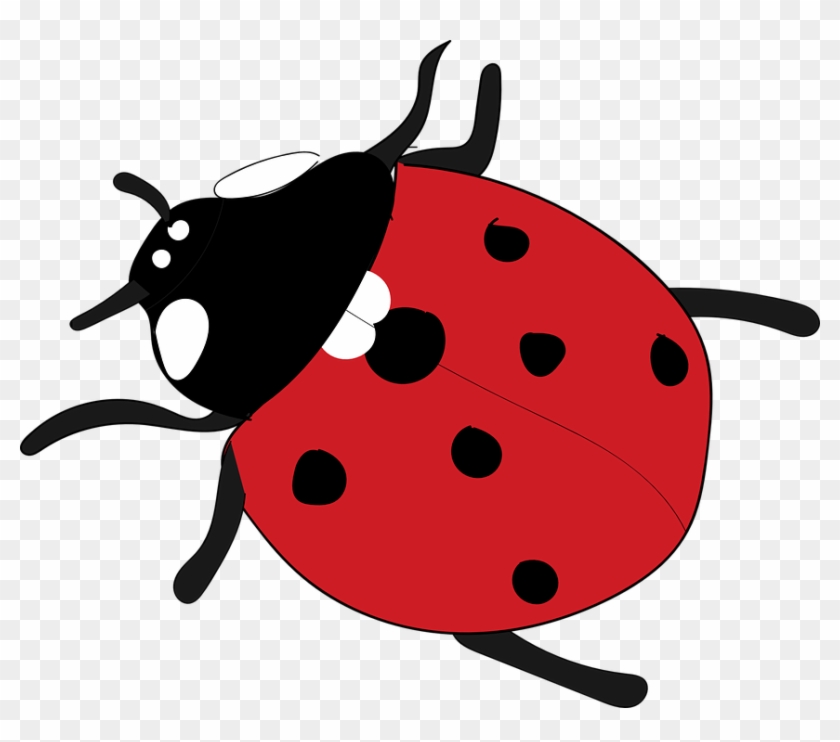 Baby Ladybug Cliparts 15, Buy Clip Art - Rojo Animal #705712