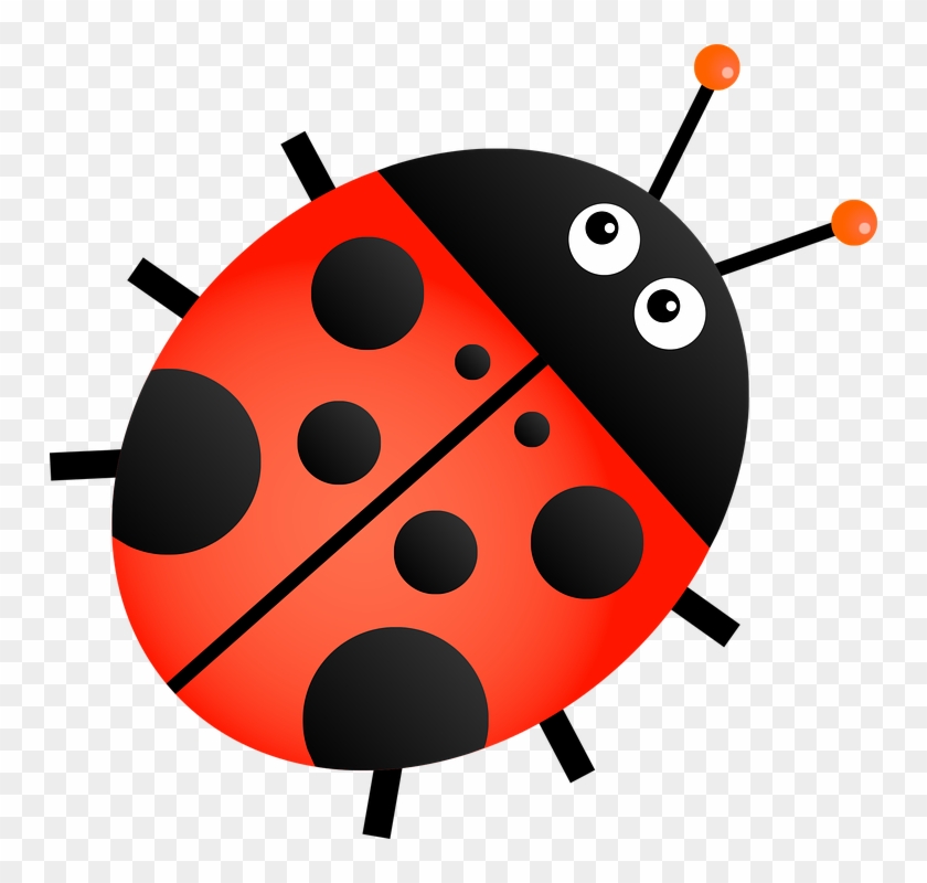 Baby Ladybug Cliparts 13, Buy Clip Art - Ladybug Clipart Transparent Background #705714