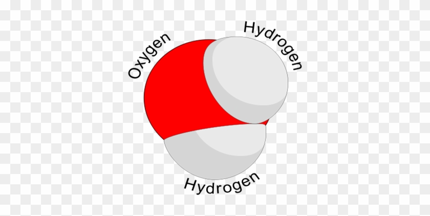 Water Molecule - Water Molecule #706156