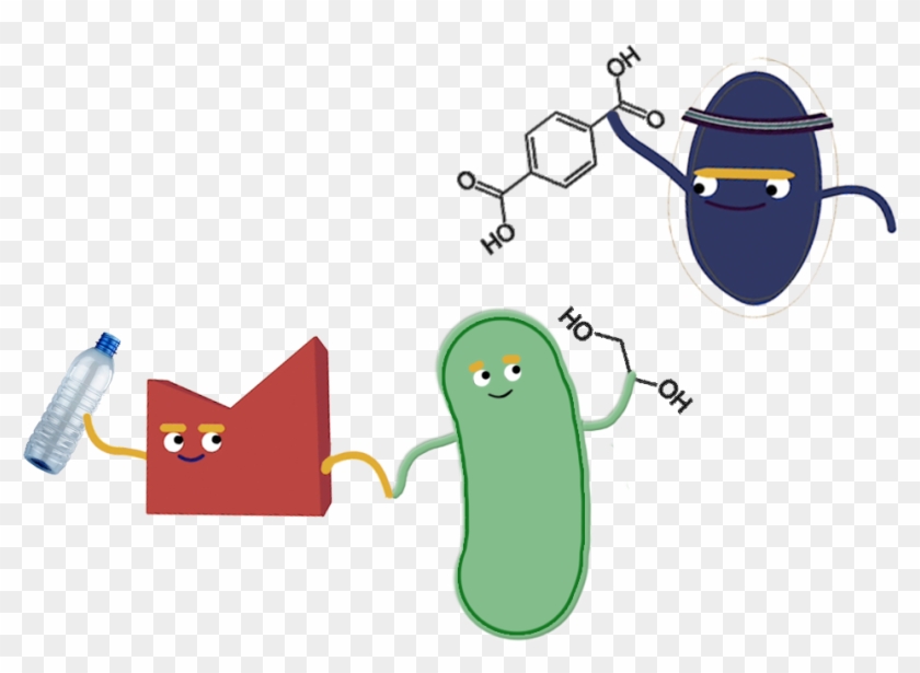 Next, We Wanted To Fully Degrade The Resulting Monomers - Next, We Wanted To Fully Degrade The Resulting Monomers #706382