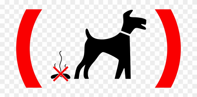 Why Does My German Shepherd Eat His Or Her Poop 7 Reasons, - Dog Fouling Signs #706522