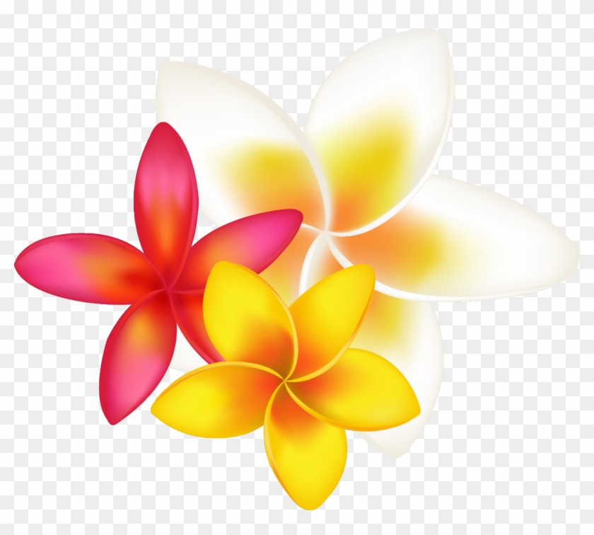 Image - Tropical Flower Clipart Png #706540