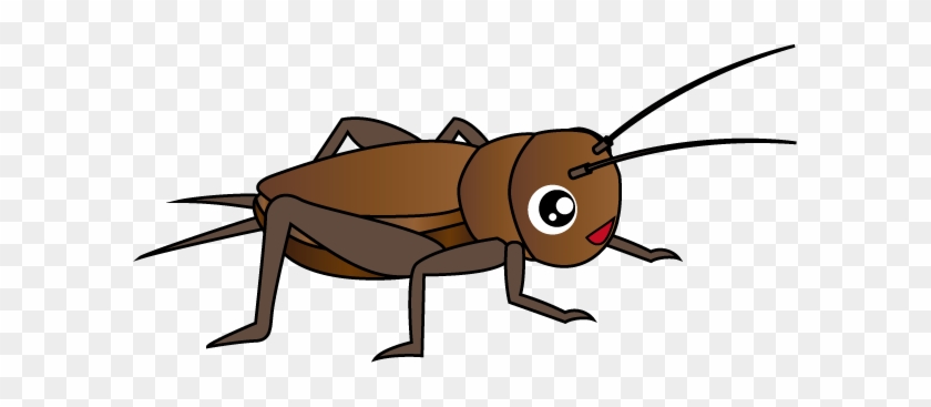 Cricket Insect Png Picture - コオロギ イラスト #707305