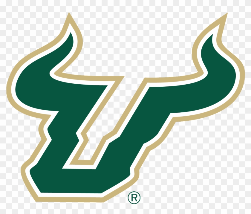 As A Sports Program, Their Marching Band Is Good, They - University Of South Florida #707439