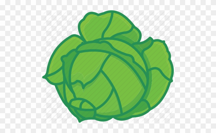 Cabbage Clipart Ball Pencil And In Color Cabbage Clipart - Vegetable #707442