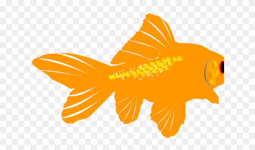 Fish Tank Clipart Orange Goldfish - Aquarium #707605