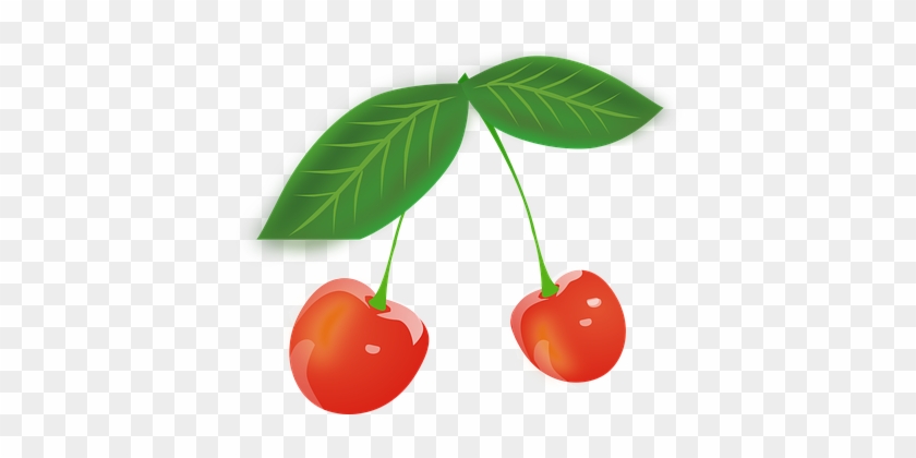 Cherry Fruits Red Berries Leaves Cherry Ch - Gambar Buah Cherry Merah #708354