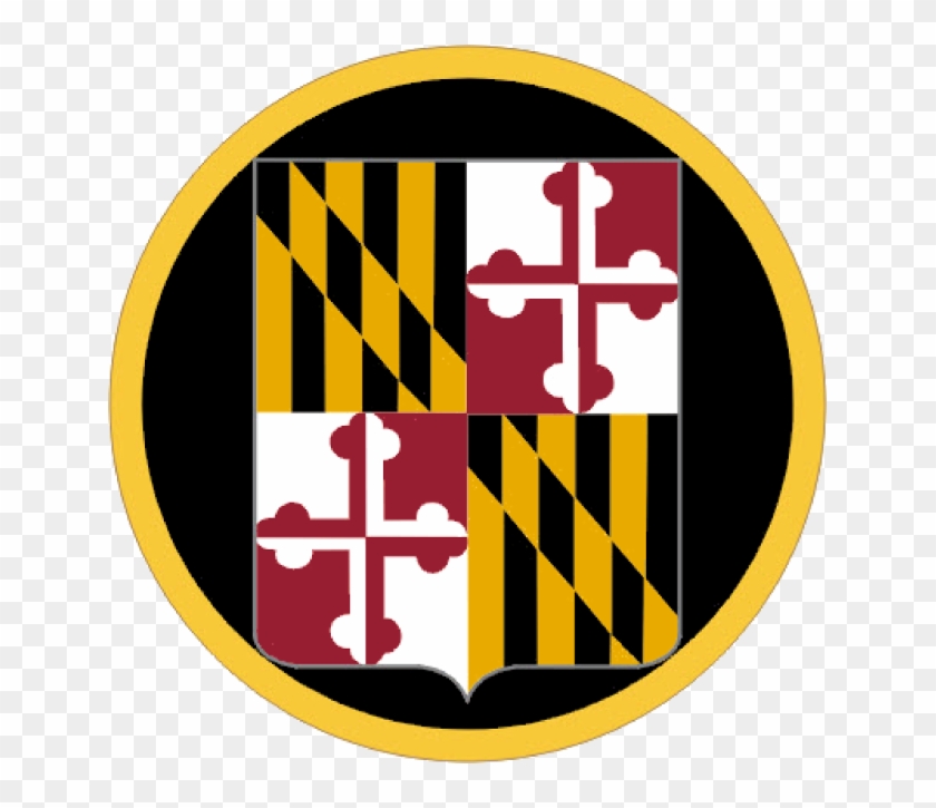 University Of Maryland, Baltimore County #708393
