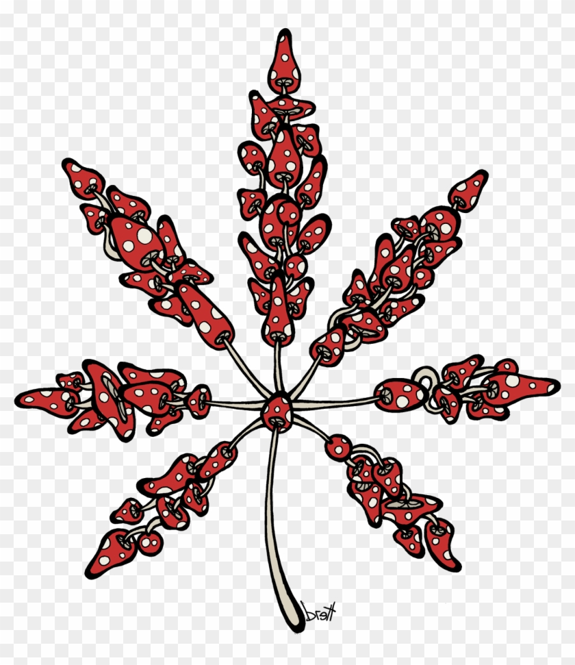 Marijuana Leaf Made Of Mushrooms - Cannabis #708929