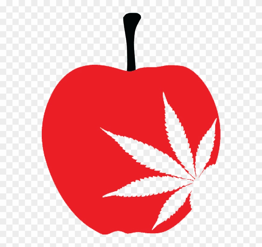 High Ny Best Cannabis Events Community Marijuana Legalization - Legalize #709012