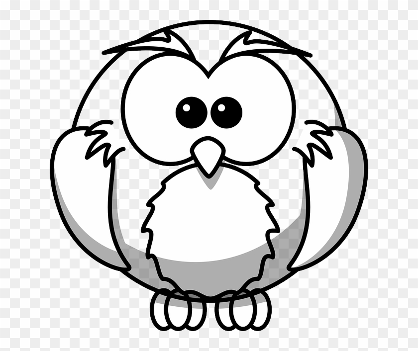 Cute Bird, Owl, Animal, Cute - Black And White Colouring Pages #709390