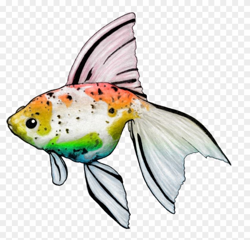 Rainbow Golfish By Nickidoodles - Goldfish #709456