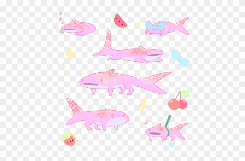 Dont Forget To Walk Ur Whale Shark - Pink Shark Transparent #709621