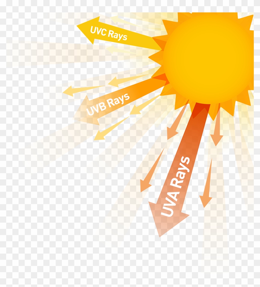 5 Simple Ways To Protect Your Eyes From Sun Exposure - Sun And Uv Rays #709881