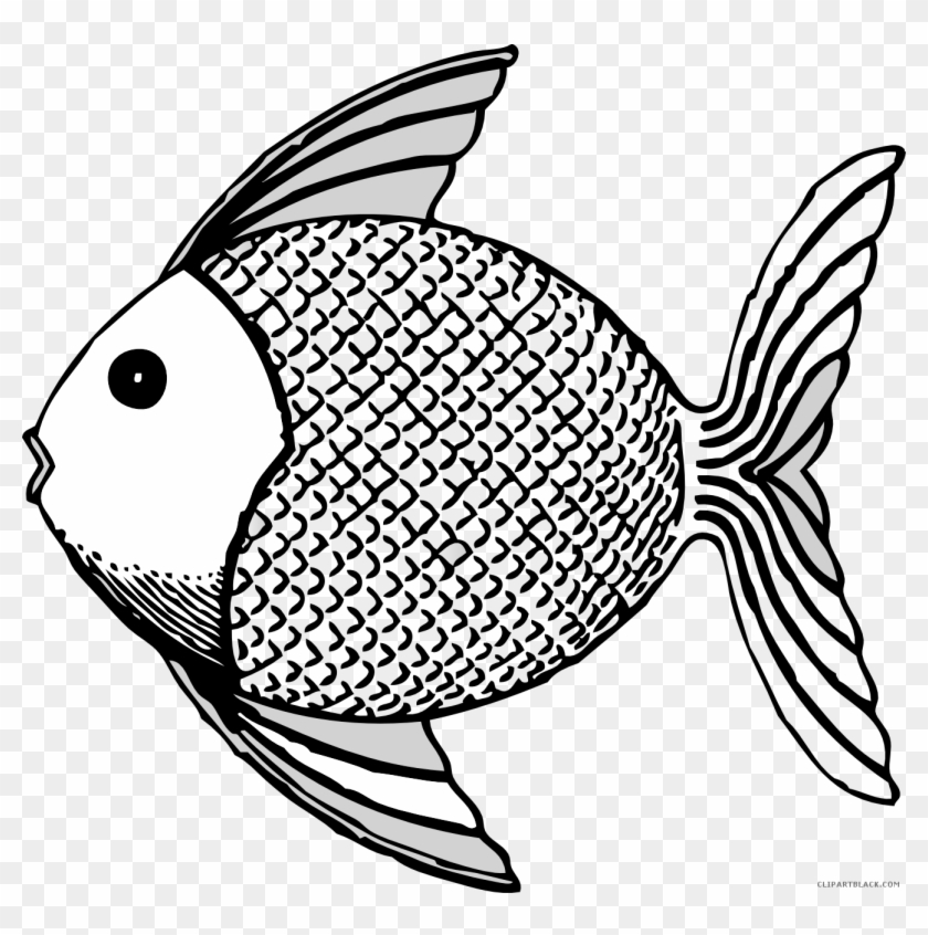 Fish Animal Free Black White Clipart Images Clipartblack - Tropical Fish Shower Curtain #710261