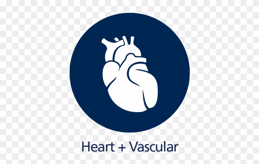Wmc 2 Heart - Cardiology #710301