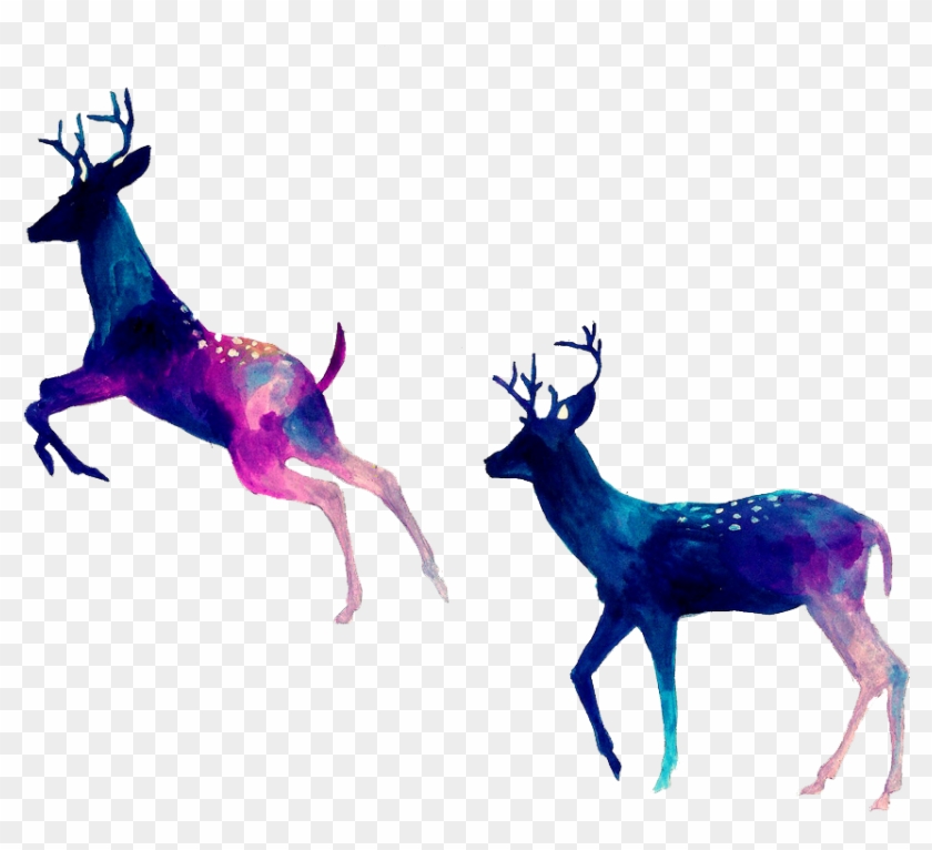 Reindeer Drawing Watercolor Painting - Reindeer Drawing Watercolor Painting #711404