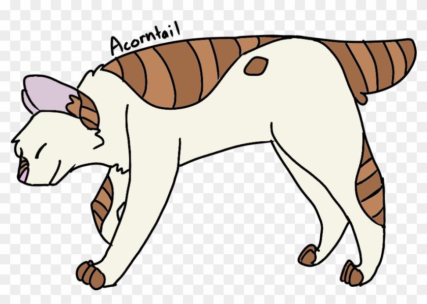 This Is Acorn Fur From Warrior Cats, - This Is Acorn Fur From Warrior Cats, #711492