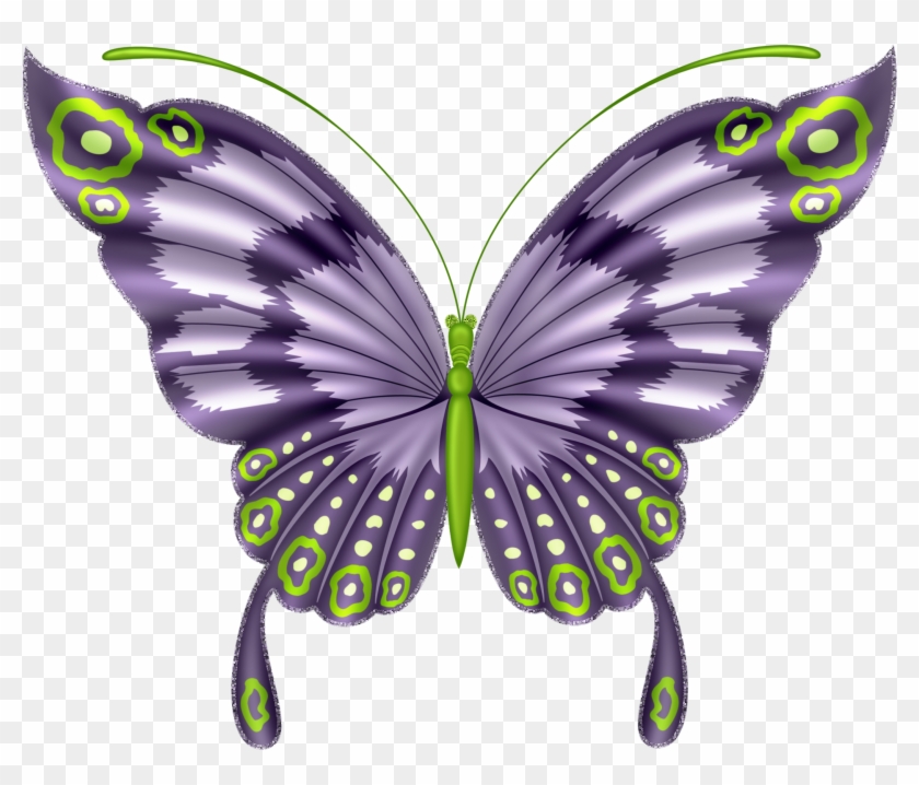 Butterflies°• - ‿✿⁀ - Butterfly Beautiful Art #711732