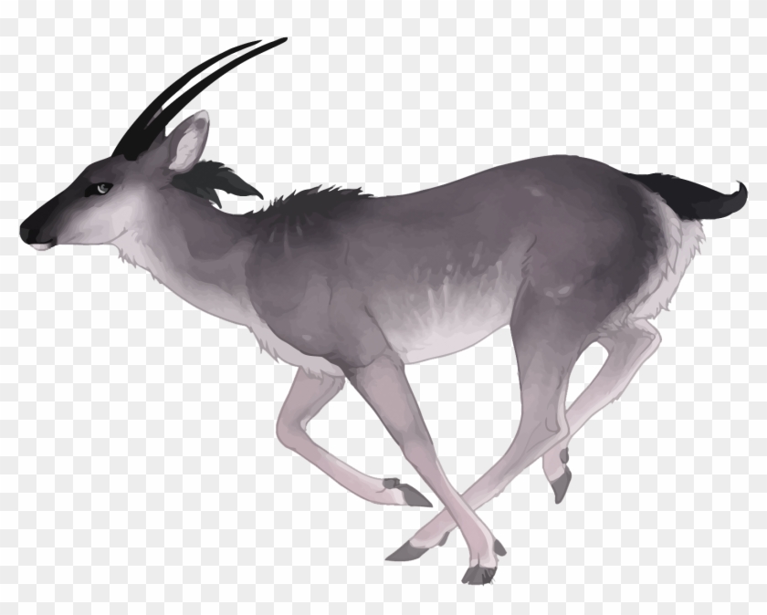 Antelope Deer Watercolor Painting - Watercolor Painting #711976