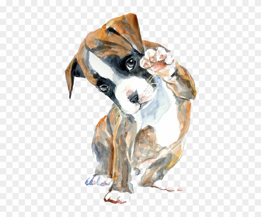 Boxer Watercolor Painting Oil Painting Drawing - Boxer Puppy Drawing #711993