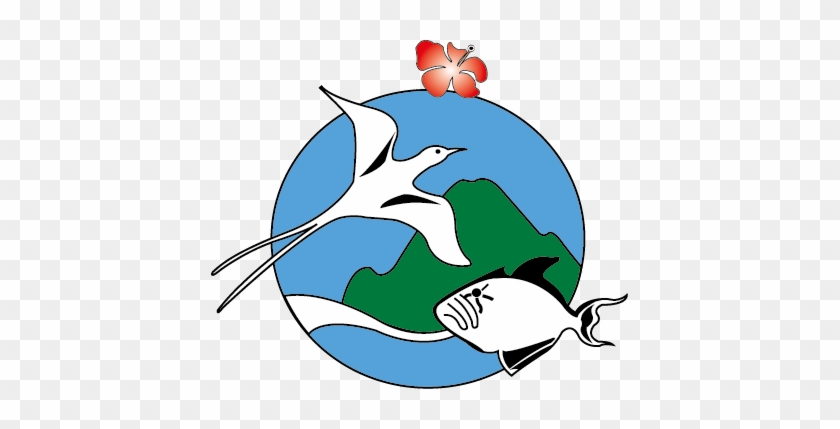 Scf Logo No Text - Saba #712179