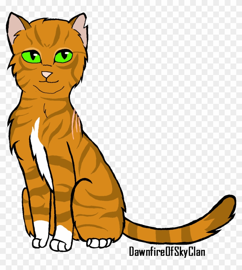 Dawnstar - Domestic Short-haired Cat #712707