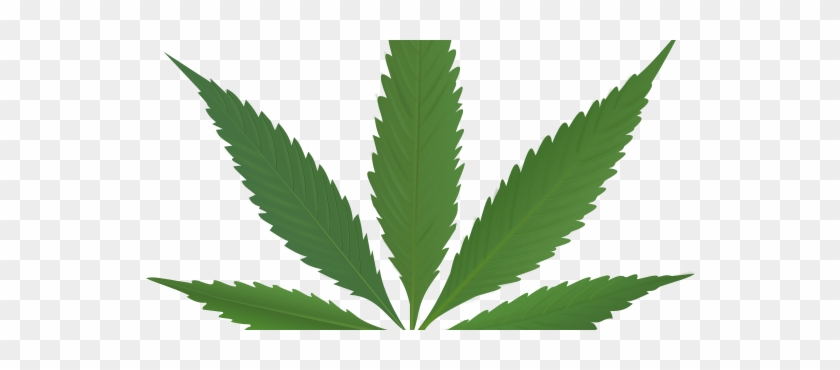 Cannabis Icon Clipart - Pot Leaf #712776