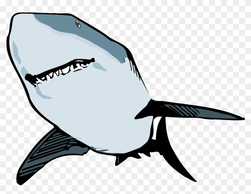 Shark Animation Clip Art - Custom Great White Shark Mugs #713277