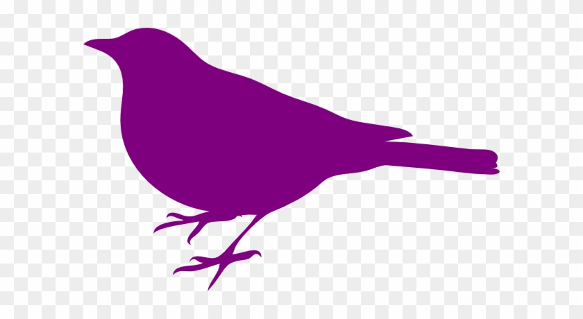 Purple Bird - Bird Silhouette Clip Art #713495