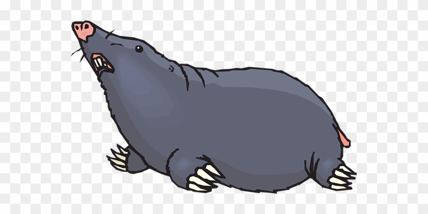 Ground Looking Animal Claws Blind Mole Bli - Mole Clipart #713508