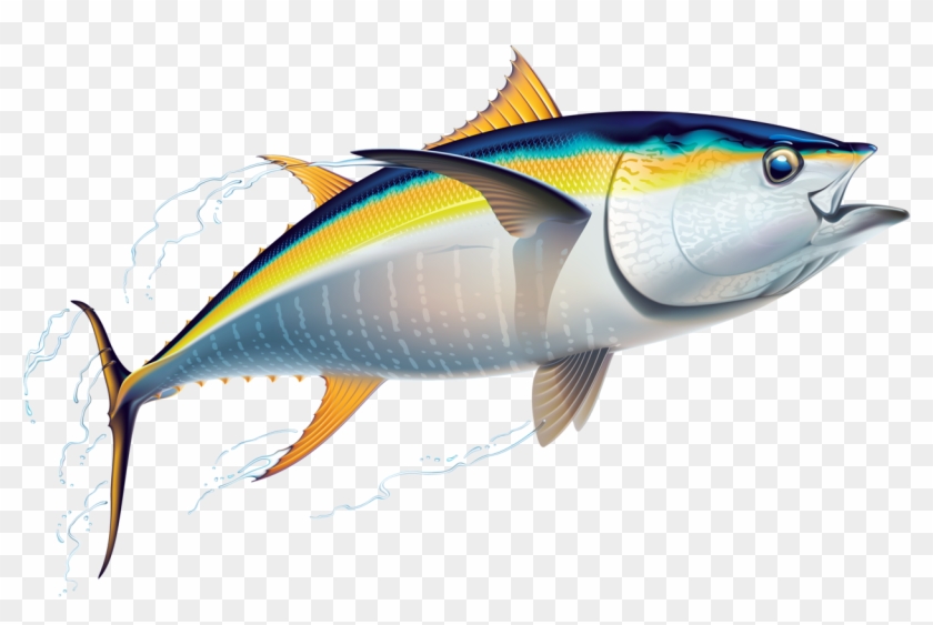 Craft - Yellowfin Tuna #713519