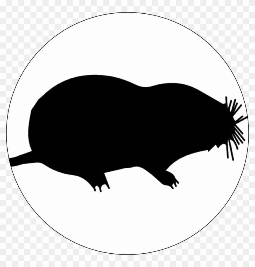 Mole Control Hampshire - Moles #713721