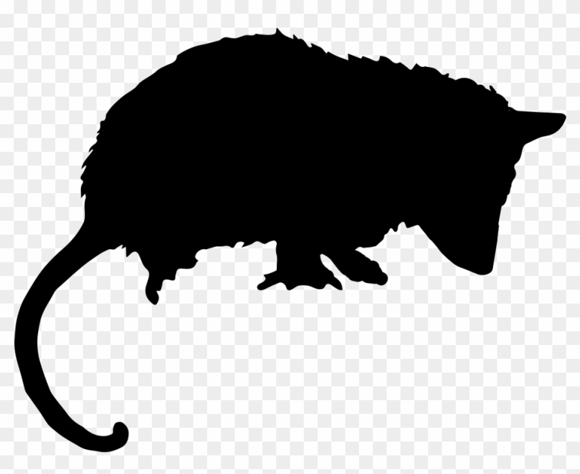 Opossum Mammal Animal Silhouette Comments - Opossum Icon #714336