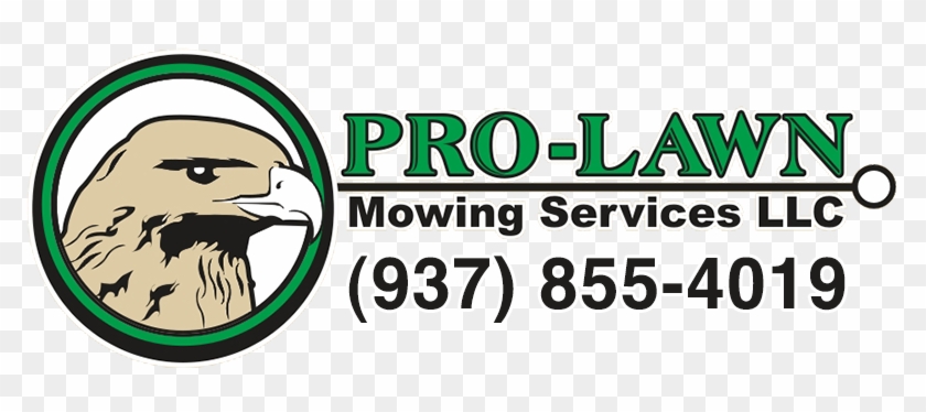 Pro-lawn Mowing Services Llc - Windows Xp #714438